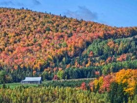 Combien coûte la construction d'une maison en bois ?