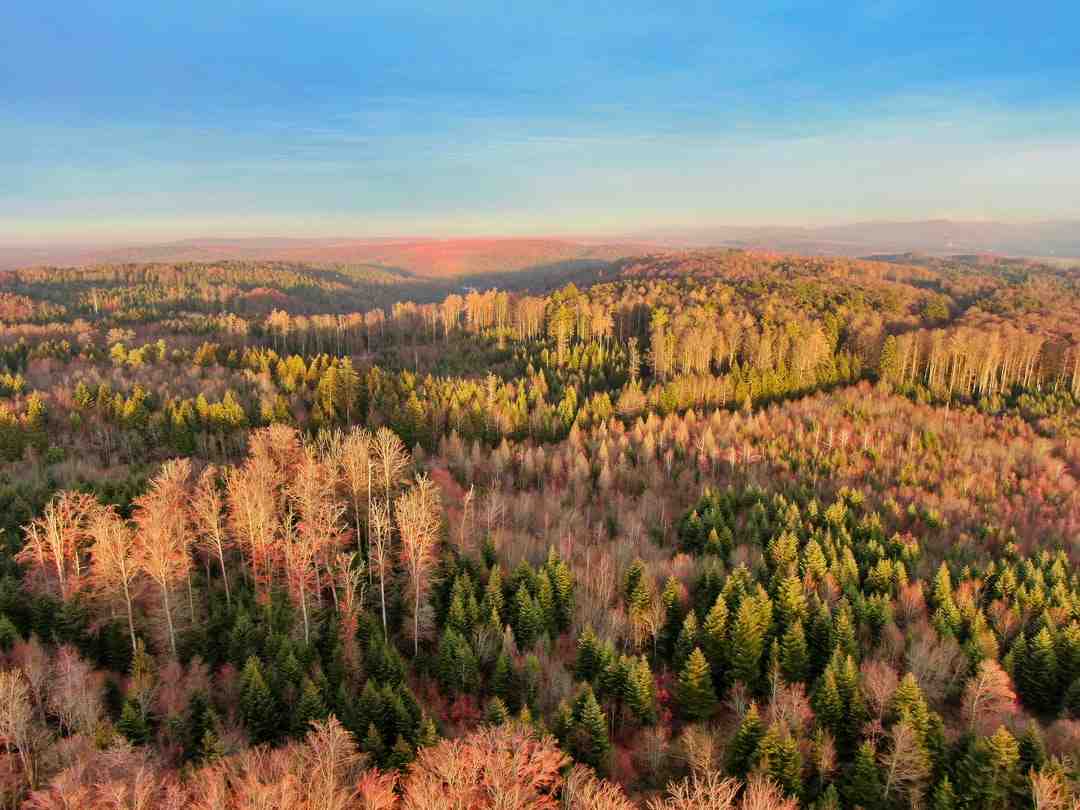 Quelle quantité de bois pour chauffer une maison ?