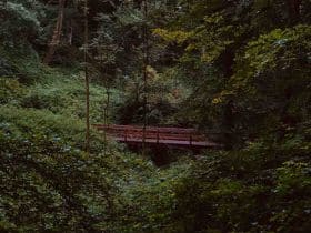 Quelle quantité de bois pour chauffer une maison de 50 m2 ?