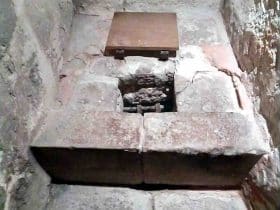 Sapin de Douglas ou bois de mélèze ?