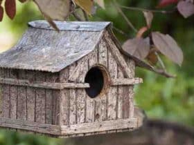 Comment faire une maison pour oiseaux en bois ?