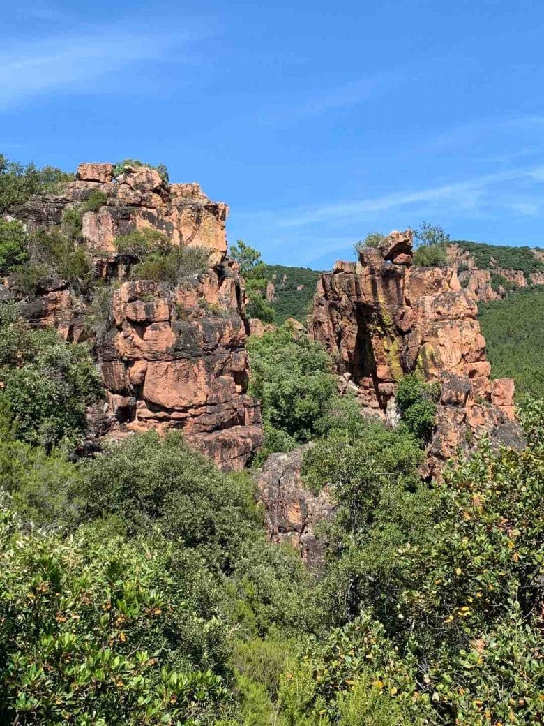 Maison en bois ou en ciment ?