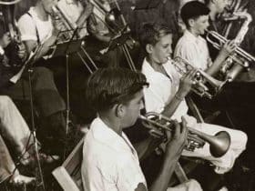 Quelle section de bois pour les maisons à ossature bois ?