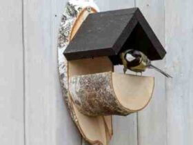 Comment fabriquer une maison en bois pour oiseaux ?