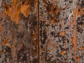 Comment  Construire une clôture en bois