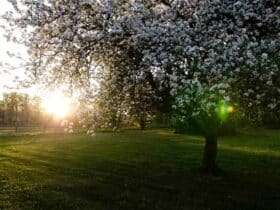 Comment  Donner l'impression qu'un plafond est plus haut