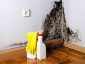 Comment  Enlever de la moisissure sur une cloison sèche