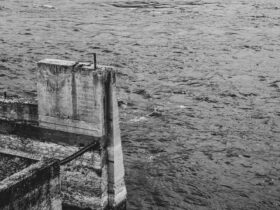 Comment  Fabriquer des dalles pour une allée