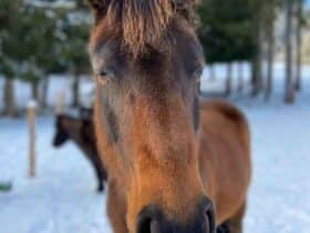 Comment  Nettoyer les portes en verre d'une douche
