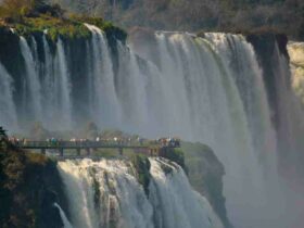 Comment  Amorcer une pompe à eau