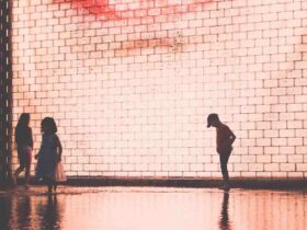 Comment  Éviter la prolifération des algues dans une fontaine