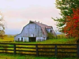 Comment  Construire une grange sur poteaux