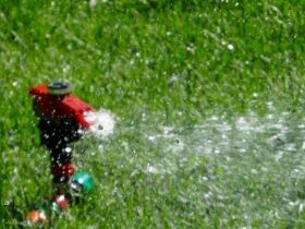 Comment  Poser un système d'arrosage