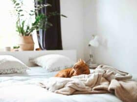 Comment  Surélever un lit