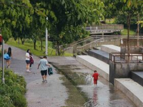 Comment  Collecter les eaux de pluie