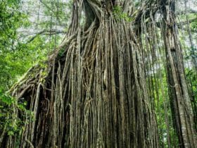 Comment  Installer des tringles à rideaux