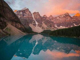 Comment  Poser du papier peint