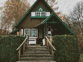 Quel bois pour maison bois