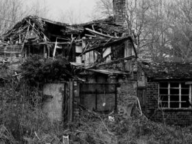 Quel constructeur maison bois choisir