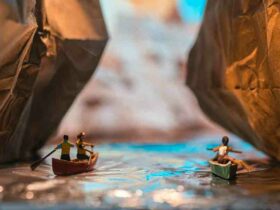 Trouver Mini pelle d'occasion