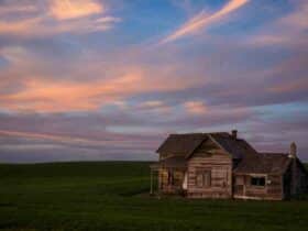 Comment savoir si on peut construire une maison en bois ?