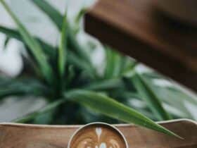 Comment vieillissent les maisons en bois ?