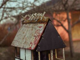 Comment vieillit une maison en ossature bois ?