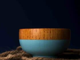 Pourquoi les maisons en bois font de plus en plus d'adeptes ?