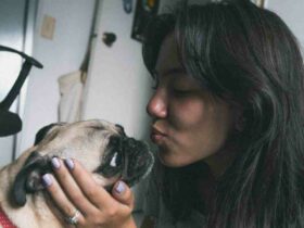 Quel est le meilleur radiateur à gaz ?