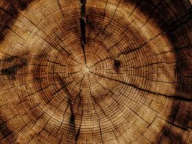 Devis maison bois  Clichy  En 5 min !