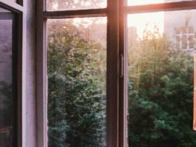 La maison bois sur pilotis, une option écologique et économique pour votre maison.