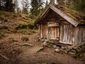 Une maison en bois à Le Roi : comment ça se passe ?